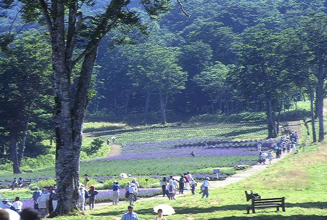 img0110.jpg