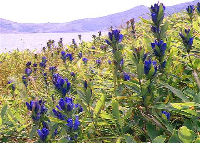 img0117.jpg
