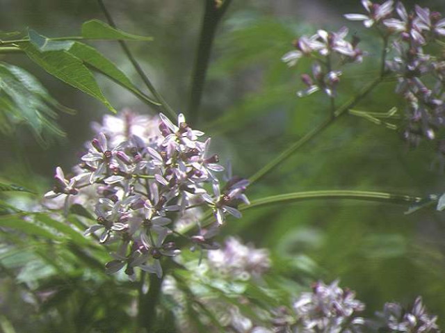 img0120.jpg