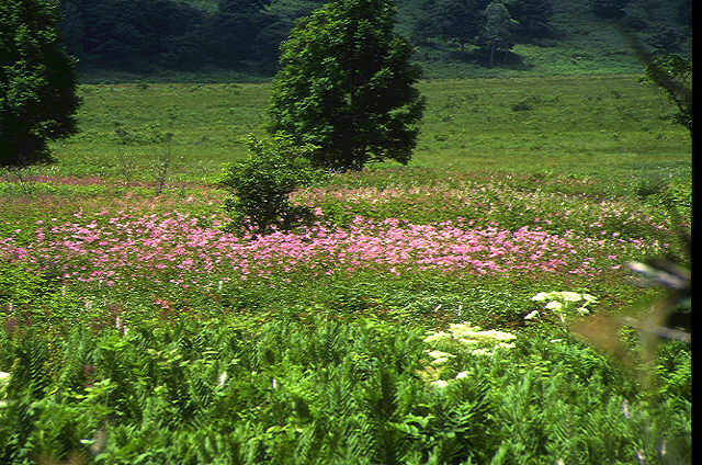 img0123.jpg