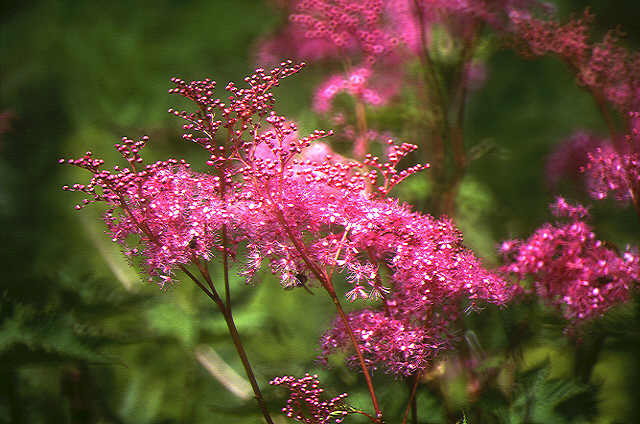 img0125.jpg