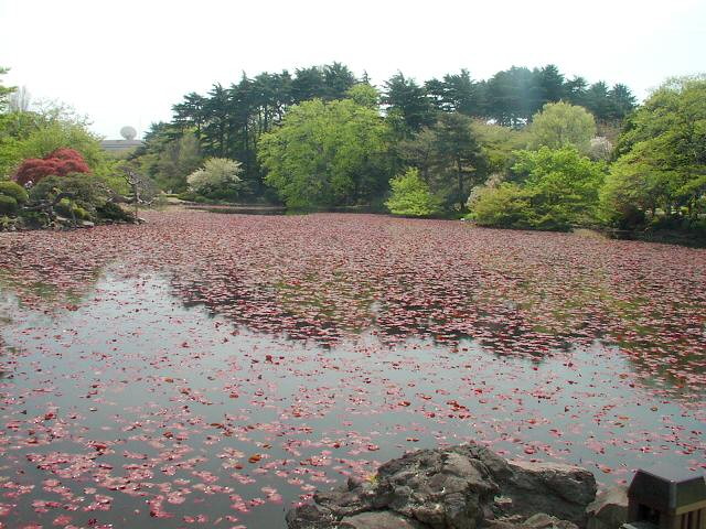 img0132.jpg
