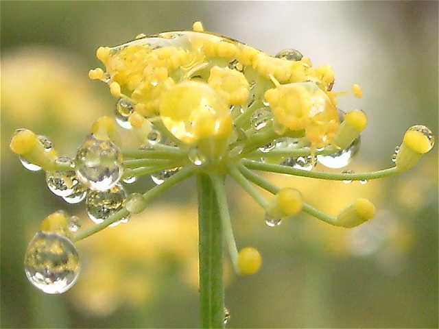 img0135.jpg