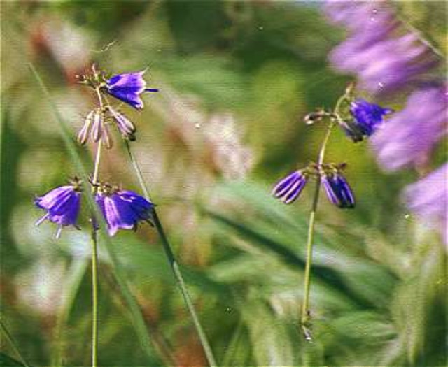 img0137.jpg