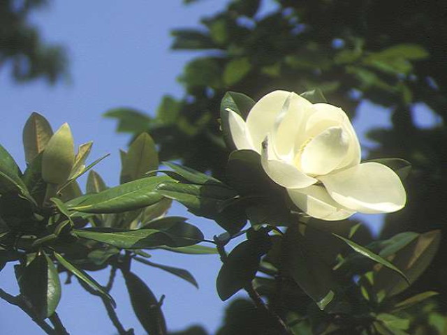 img0140.jpg