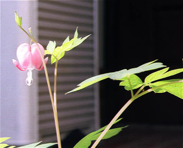 img0141.jpg
