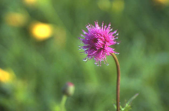 img0144.jpg
