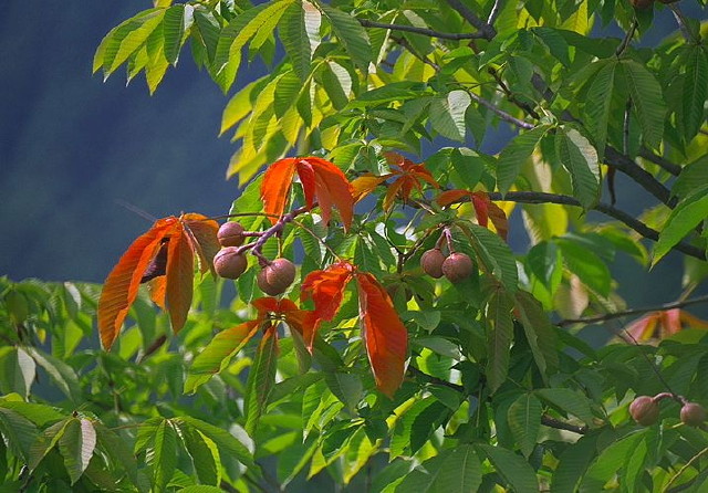 img0147.jpg