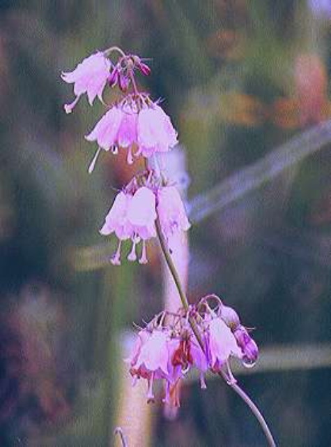 img0149.jpg