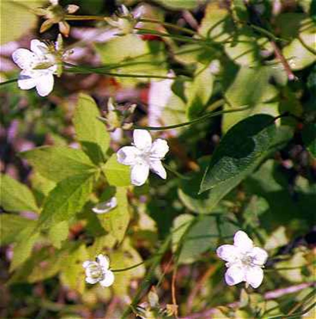 img0154.jpg