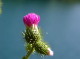 img0002.jpg