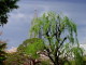 img0008.jpg