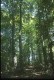 img0010.jpg