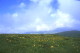 img0012.jpg