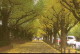 img0017.jpg