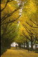 img0018.jpg