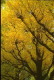 img0019.jpg