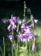 img0020.jpg