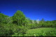 img0023.jpg