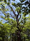 img0024.jpg