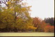 img0028.jpg