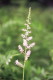 img0033.jpg