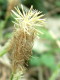 img0043.jpg