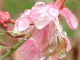 img0044.jpg