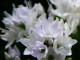 img0048.jpg