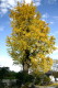 img0051.jpg