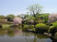 img0054.jpg