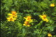 img0058.jpg