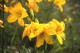 img0065.jpg