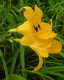 img0068.jpg