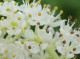 img0079.jpg
