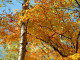 img0086.jpg