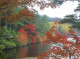 img0087.jpg
