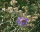 img0093.jpg