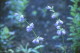 img0100.jpg