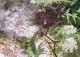 img0101.jpg