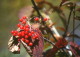 img0102.jpg