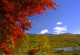 img0103.jpg