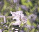 img0107.jpg