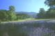 img0109.jpg