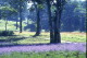 img0112.jpg