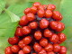 img0113.jpg