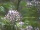 img0120.jpg