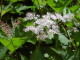 img0122.jpg