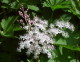 img0124.jpg