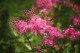 img0125.jpg